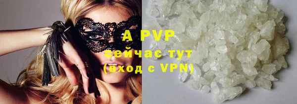 apvp Алзамай