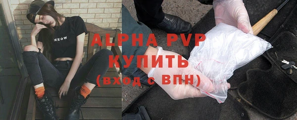 мет Алексин