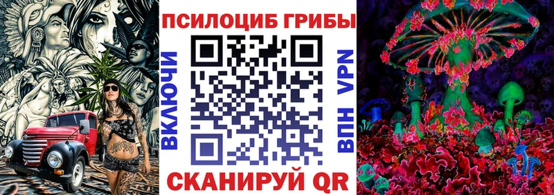 даркнет сайт  Цивильск  Галлюциногенные грибы Psilocybe 